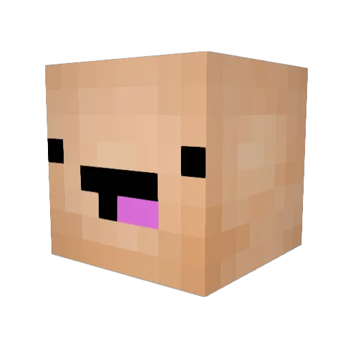 MasterYiSupport Minecraft avatar head, 3D render