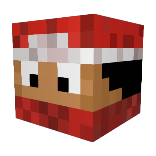 MasterYu1234 Minecraft avatar head, 3D render