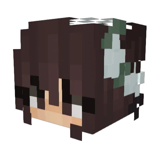 Master_2020 Minecraft avatar head, 3D render