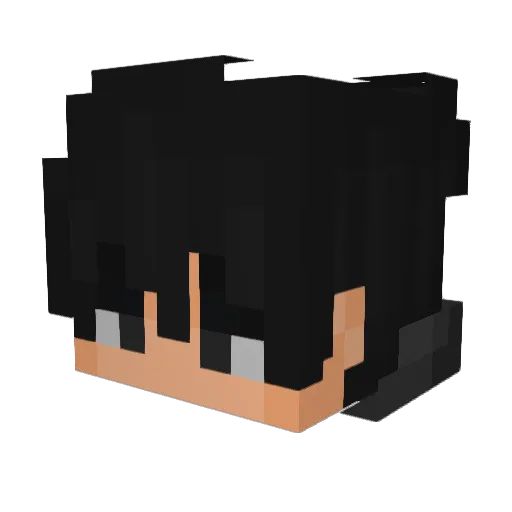 Master_35000 Minecraft avatar head, 3D render
