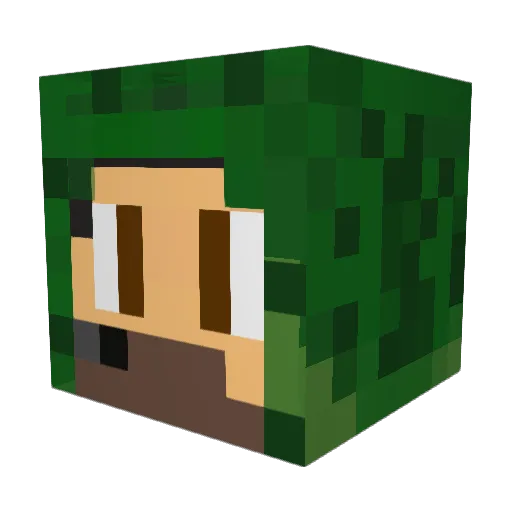 Master_E_98 Minecraft avatar head, 3D render