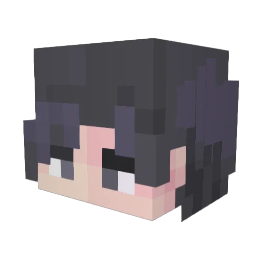 Master_Fin Minecraft avatar head, 3D render