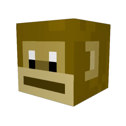 Master_Monkey279 Minecraft avatar head, 3D render