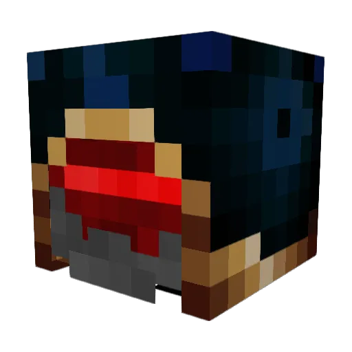 Master_Nati Minecraft avatar head, 3D render