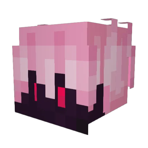 Master_Rin Minecraft avatar head, 3D render
