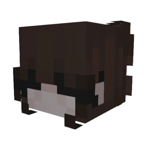 Master_Yoda123 Minecraft avatar head, 3D render