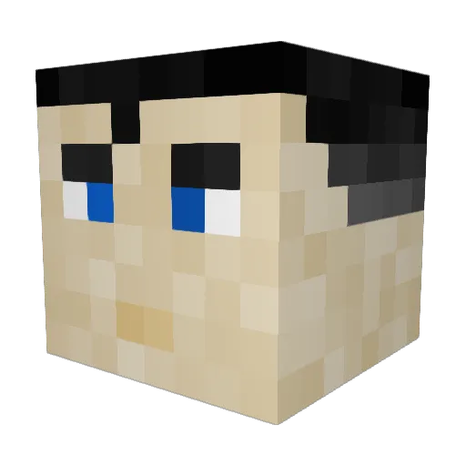 Master_aussie Minecraft avatar head, 3D render
