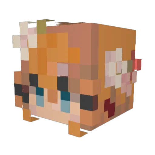 Masterartfreak Minecraft avatar head, 3D render