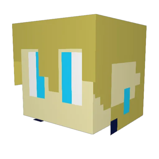 Masterlink20 Minecraft avatar head, 3D render