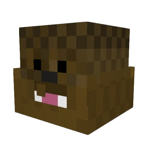 Masterminer36 Minecraft avatar head, 3D render