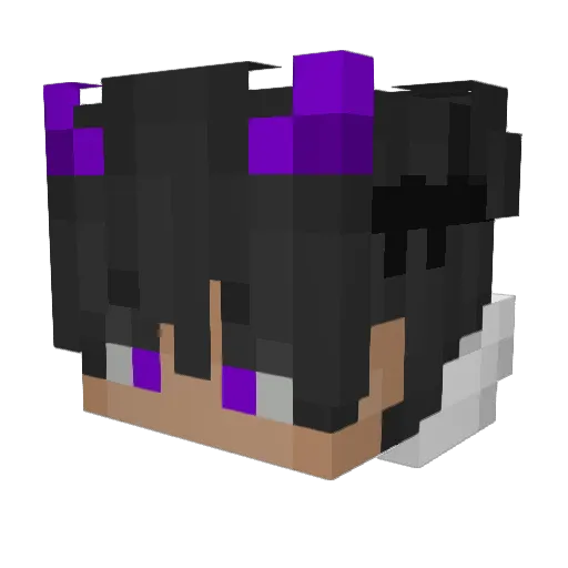 Masterofthisuser Minecraft avatar head, 3D render