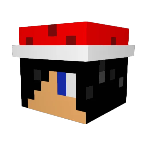 Masteroftime2135 Minecraft avatar head, 3D render