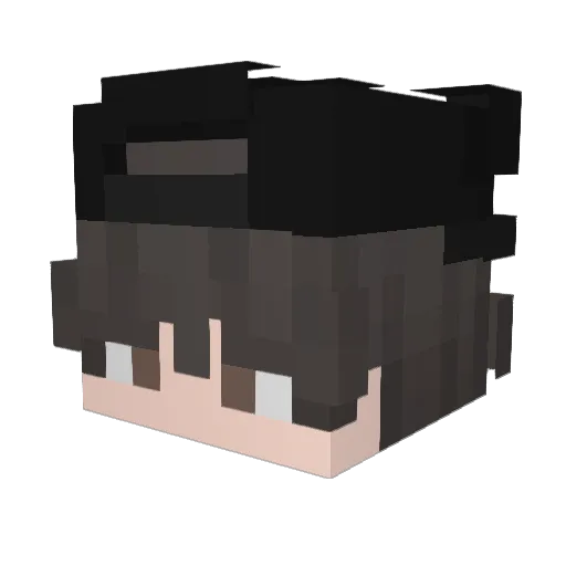 Masteross Minecraft avatar head, 3D render
