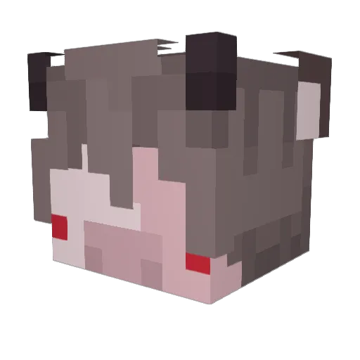 Masterpig_XL Minecraft avatar head, 3D render