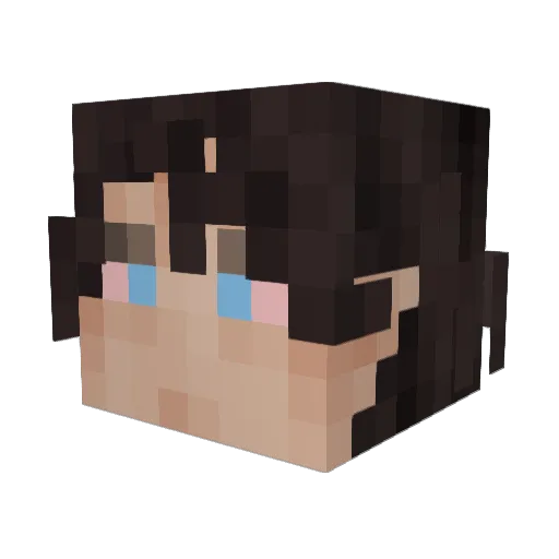 Masterpr01 Minecraft avatar head, 3D render