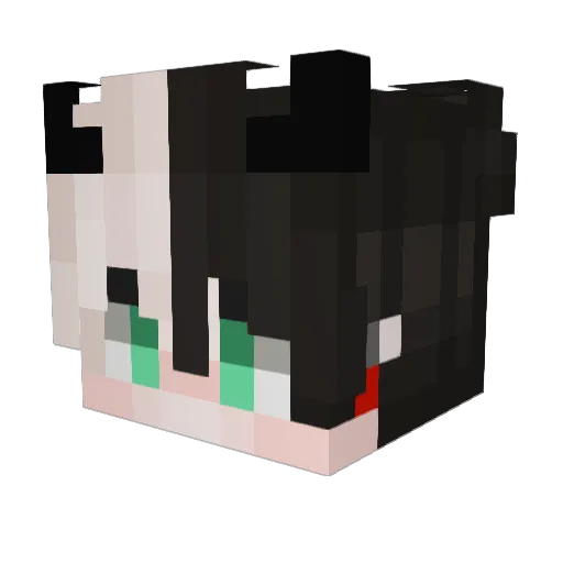 Mastersoldier Minecraft avatar head, 3D render