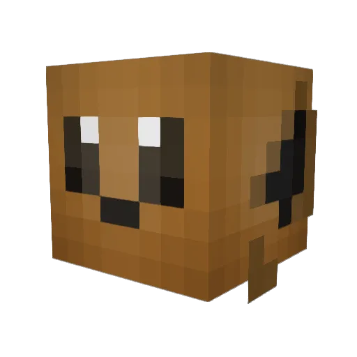 Mastertaytay Minecraft avatar head, 3D render