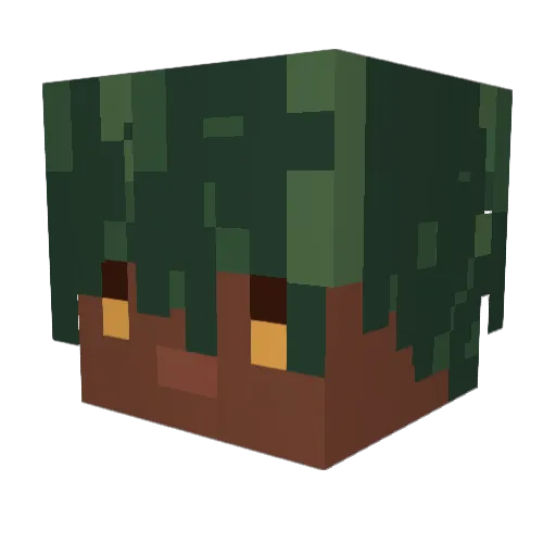 Mastocito Minecraft avatar head, 3D render