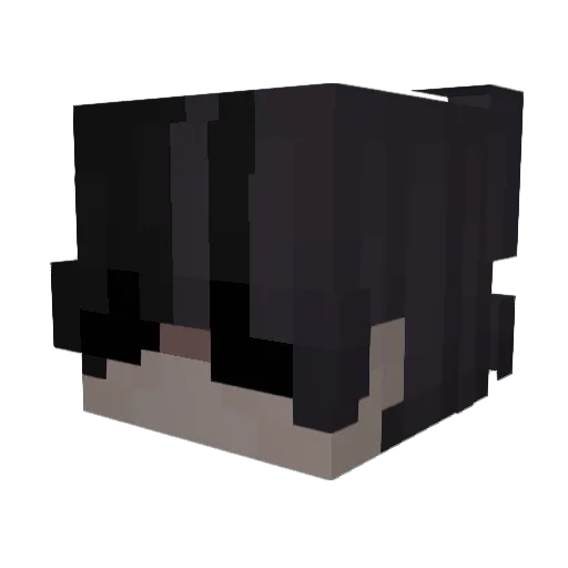 Mastter114 Minecraft avatar head, 3D render