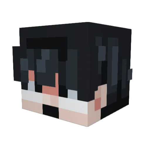 Mat297 Minecraft avatar head, 3D render