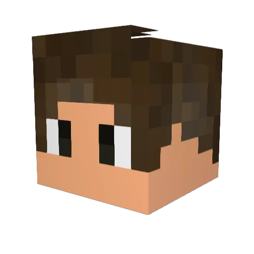 MatReemoos Minecraft avatar head, 3D render