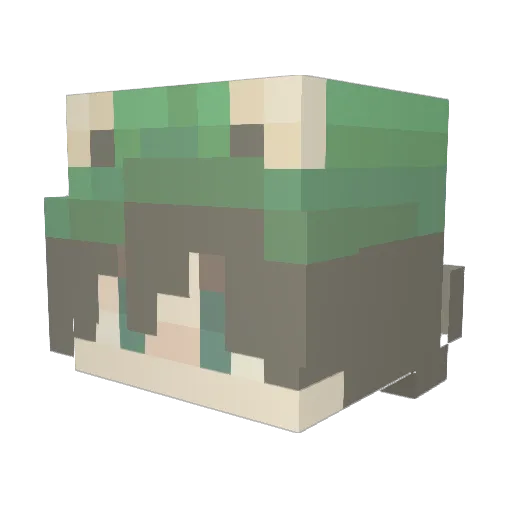 Mat_49 Minecraft avatar head, 3D render