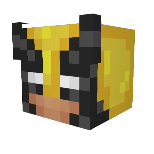 MataFury Minecraft avatar head, 3D render