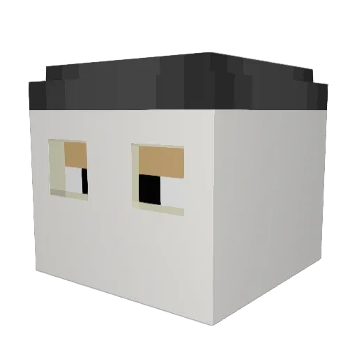 MataJudios27 Minecraft avatar head, 3D render