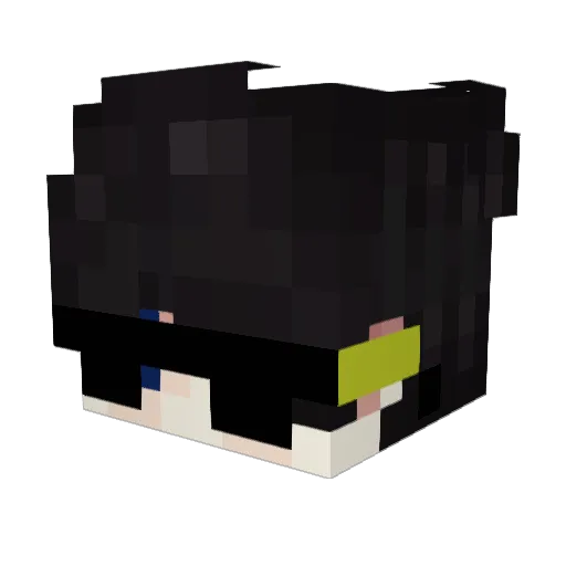 MatadorWasTaken Minecraft avatar head, 3D render