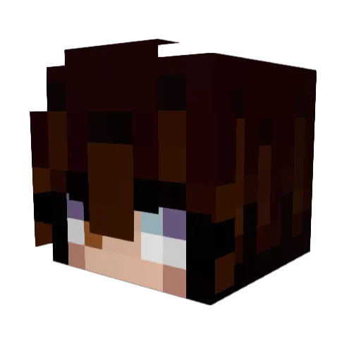 Matallix64 Minecraft avatar head, 3D render
