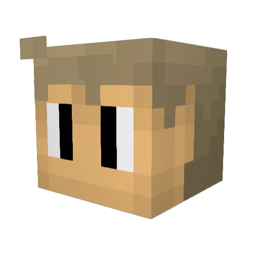 Matasgostoso Minecraft avatar head, 3D render