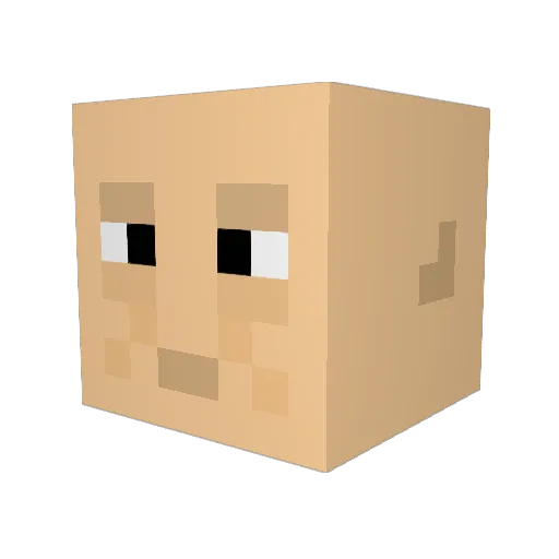 MatchingFlame14 Minecraft avatar head, 3D render