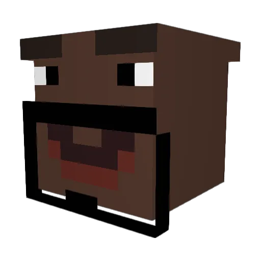 Mate2114 Minecraft avatar head, 3D render