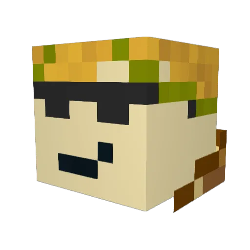 Mateet Minecraft avatar head, 3D render