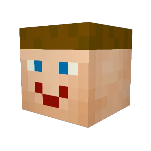 Matejda Minecraft avatar head, 3D render