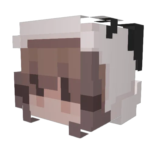 Mateo1710 Minecraft avatar head, 3D render