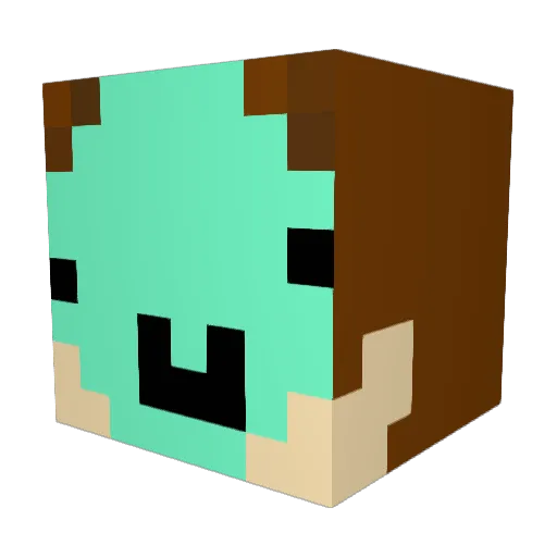 Mateo290 Minecraft avatar head, 3D render