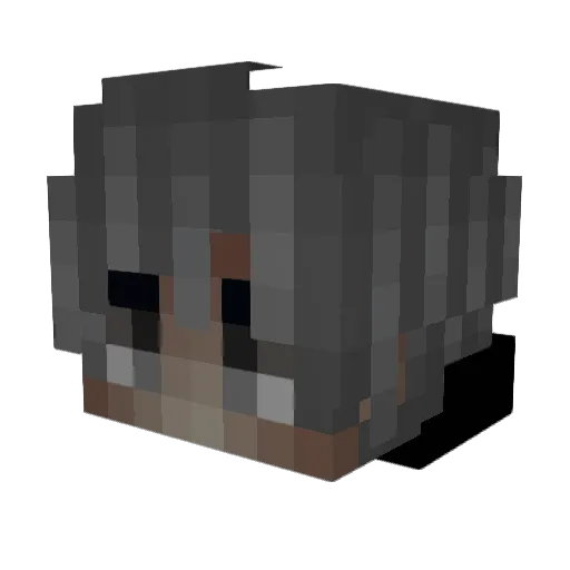 MateoAFK Minecraft avatar head, 3D render