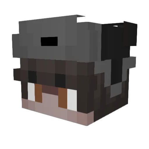 MateoDX Minecraft avatar head, 3D render