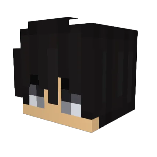 MateoWren Minecraft avatar head, 3D render