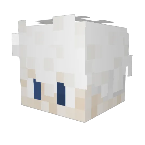 MateoYT2 Minecraft avatar head, 3D render