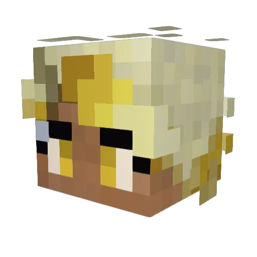 Mateo_Misur Minecraft avatar head, 3D render