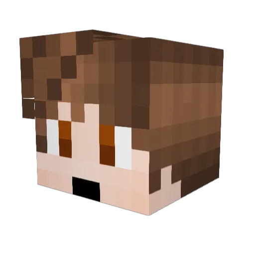 Mateo_TSM Minecraft avatar head, 3D render