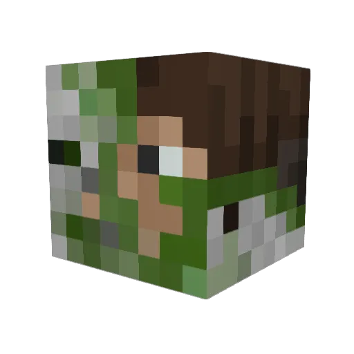 Mateo___ Minecraft avatar head, 3D render