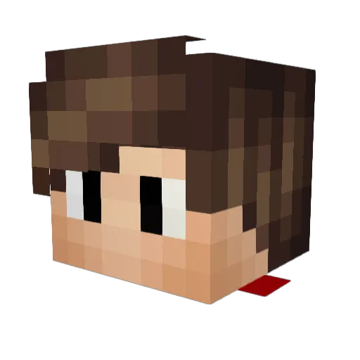 Mateus1612 Minecraft avatar head, 3D render