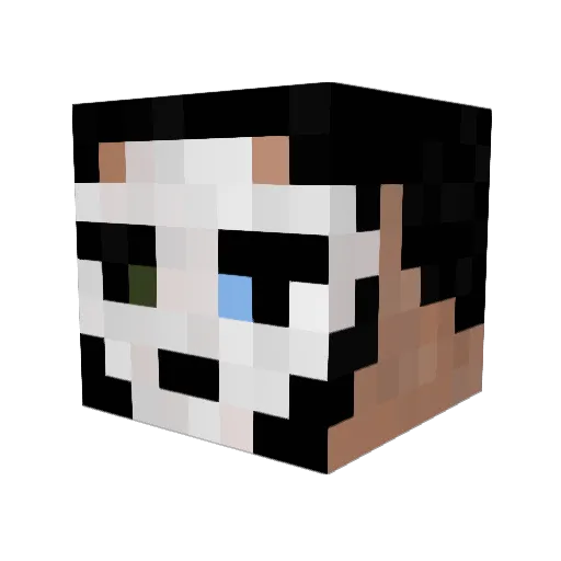 MateusDejota Minecraft avatar head, 3D render
