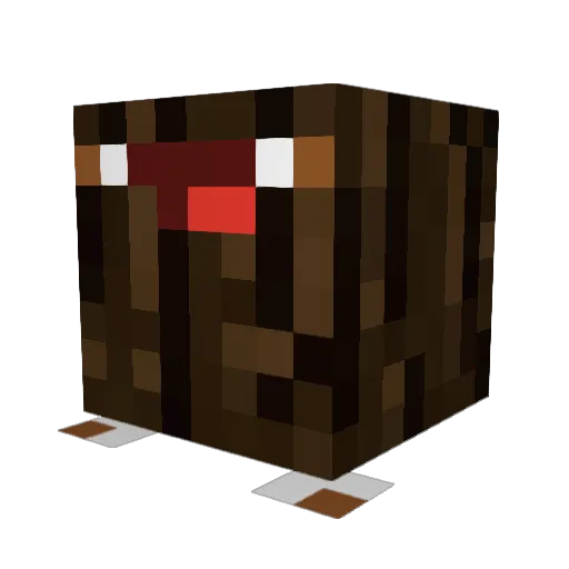Mateuszek2010PL Minecraft avatar head, 3D render