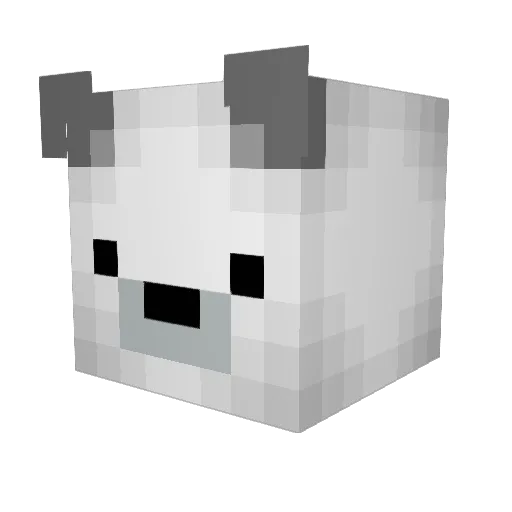 Mateytey14 Minecraft avatar head, 3D render