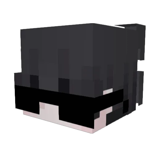 Math735 Minecraft avatar head, 3D render