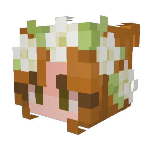 MathBTW_ Minecraft avatar head, 3D render